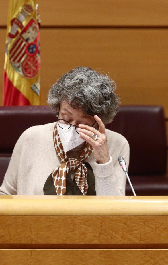 El Tribunal Constitucional Tumba El Nombramiento De Rosa Mar A Mateo En