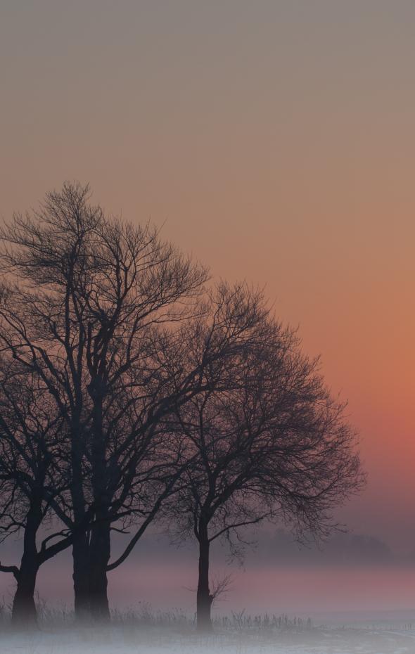 Solsticio de invierno llega el día más corto y la noche más larga del año