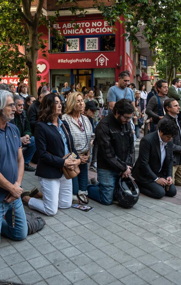 El Constitucional Rechaza El Recurso De Vox Y Avala La Ley Que Penaliza