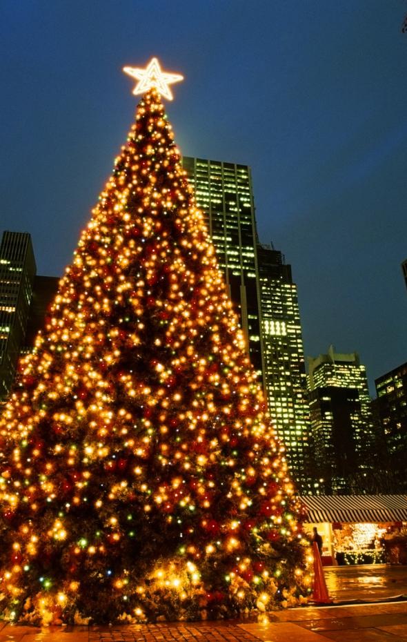 Una Anciana De A Os Levanta El Rbol De Navidad Tejido M S Alto Del