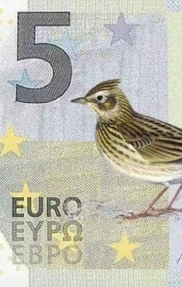 El famoso español que amenaza con aparecer en los nuevos billetes de euro