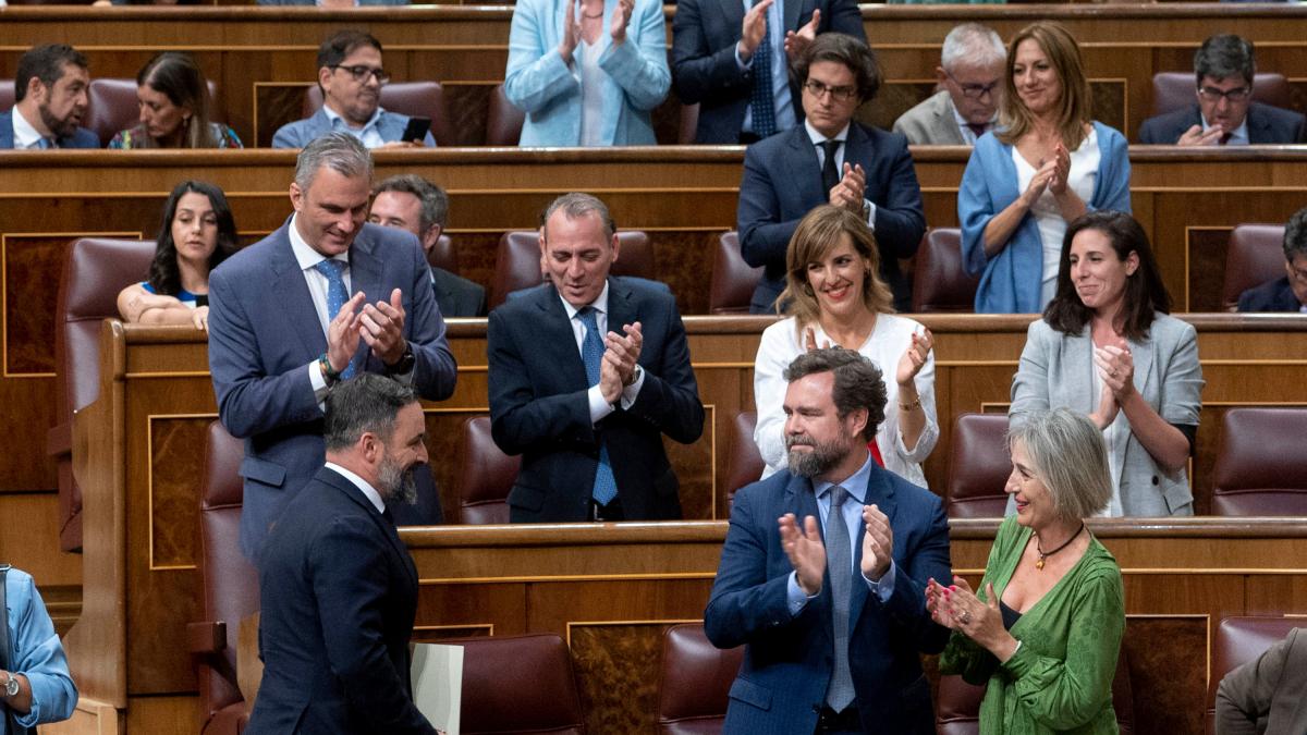 Toque de atención del Congreso a los 52 diputados de Vox por sus