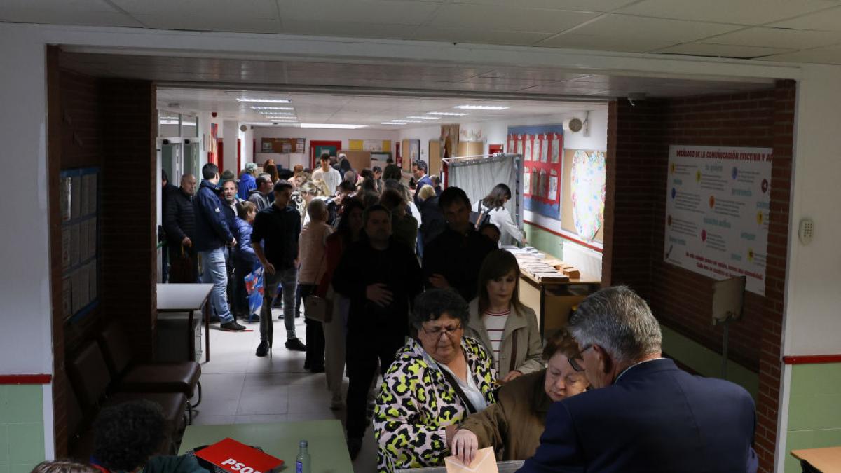 Quiénes son los apoderados en las elecciones generales Funciones