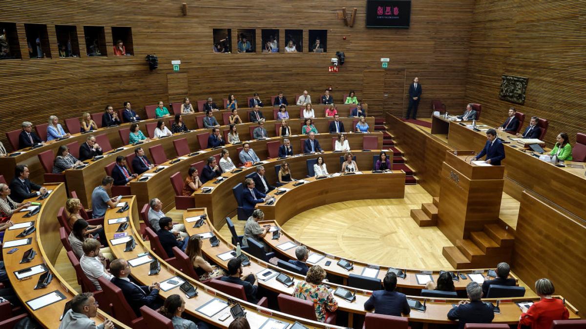 El Parlamento Valenciano Tendr La Primera Diputada Con S Ndrome De Down