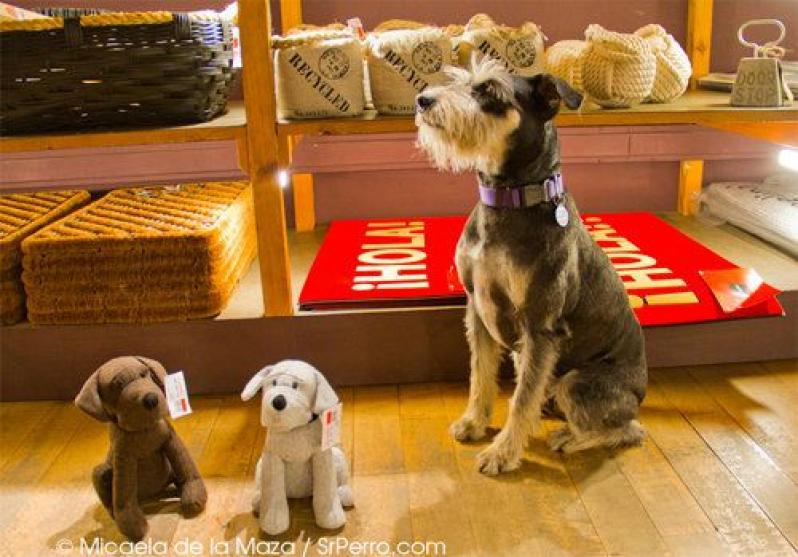 Los perros suman y no restan: Muji, Vinçon, Casa del Libro...