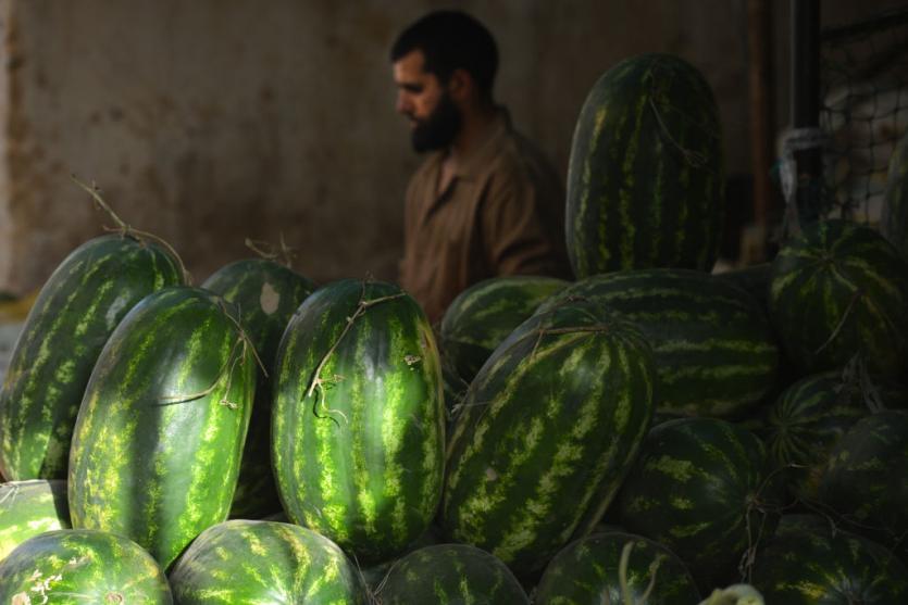 precio viagra marruecos