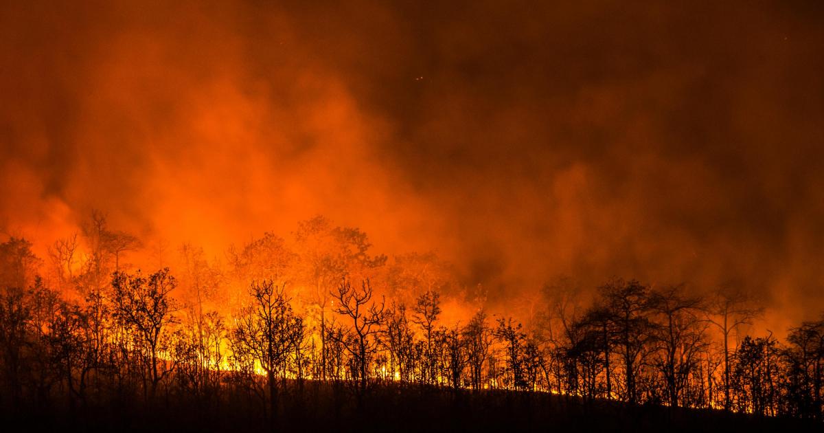 Imagen de archivo de un incendio forestal.
