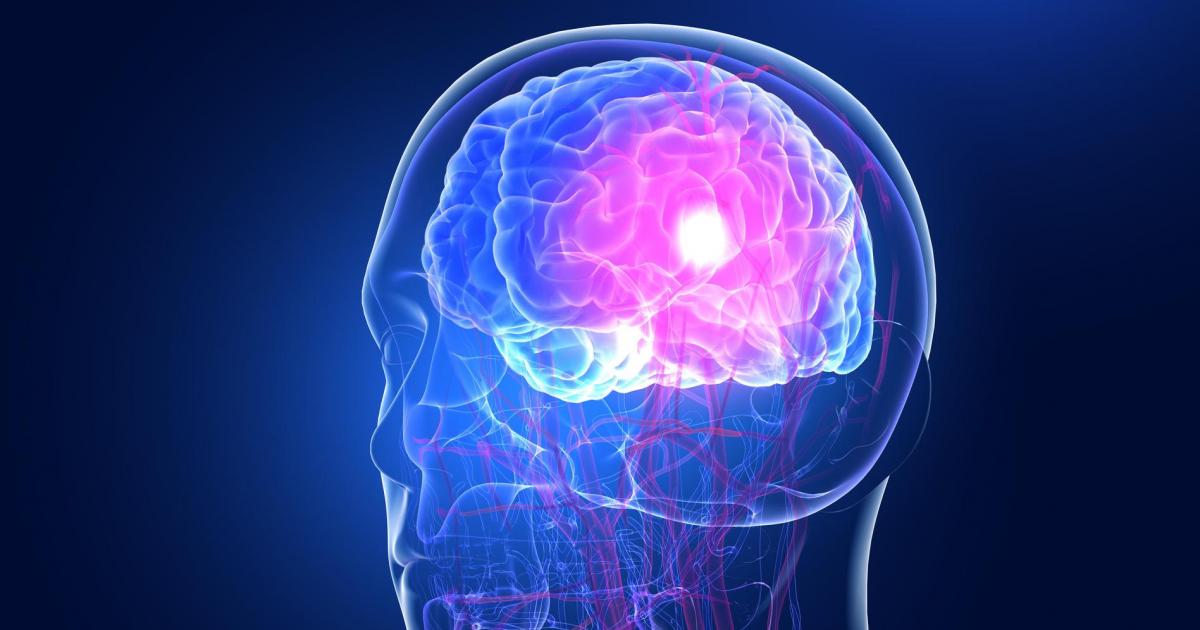 Imagen conceptual de un cerebro humano.