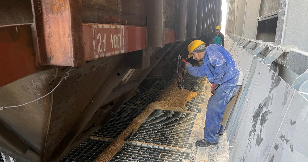 Un trabajador portuario revisa la carga de cereal de un barco procedente de Ucrania en Constanta (Rumanía), el pasado mayo.