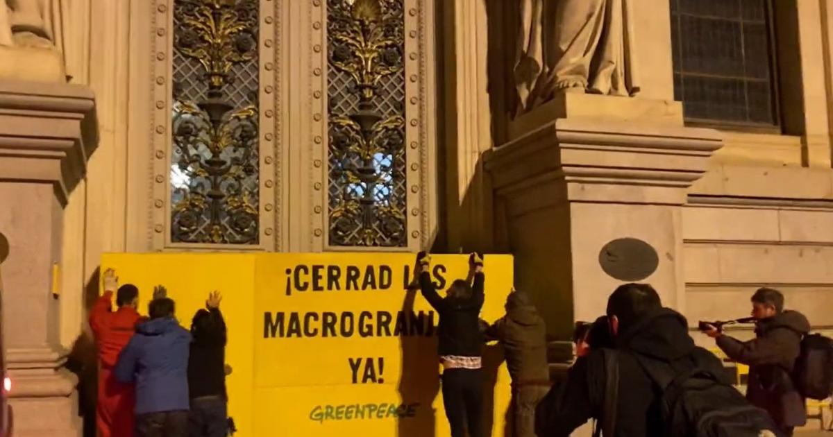 Activistas de Greenpeace bloquean el acceso principal al edificio del Ministerio de Agricultura, en protesta contra las macrogranjas.