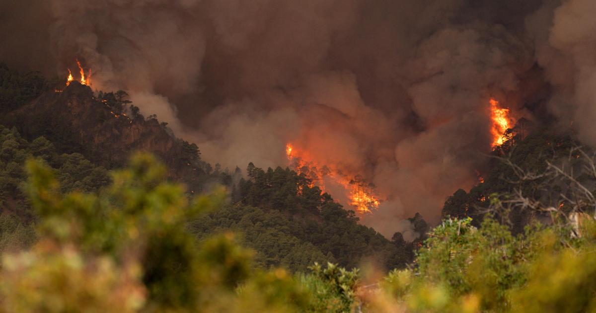 El incendio forestal declarado esta madrugada en Tenerife tiene mucha fuerza y su extinción es muy complicada debido a la orografía del terreno, ha informado el presidente de Canarias, Fernando Clavijo. En la imagen, zona de los altos de Candelaria.