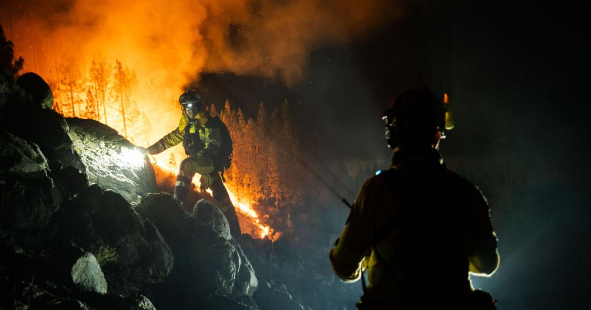 Efectivos del EIRIF trabajan en uno de los frentes del incendio en Tenerife.