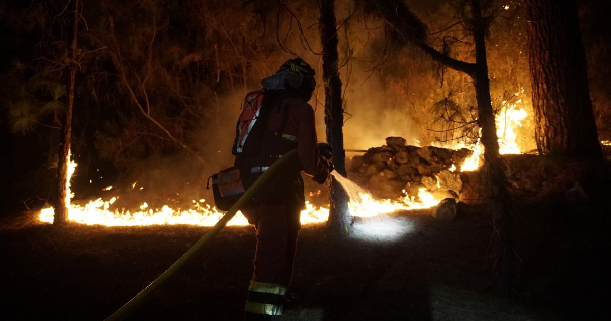 Miembros de la Unidad militar de emergencias (UME) trabajan en labores de extinción del incendio forestal de la isla de Tenerife