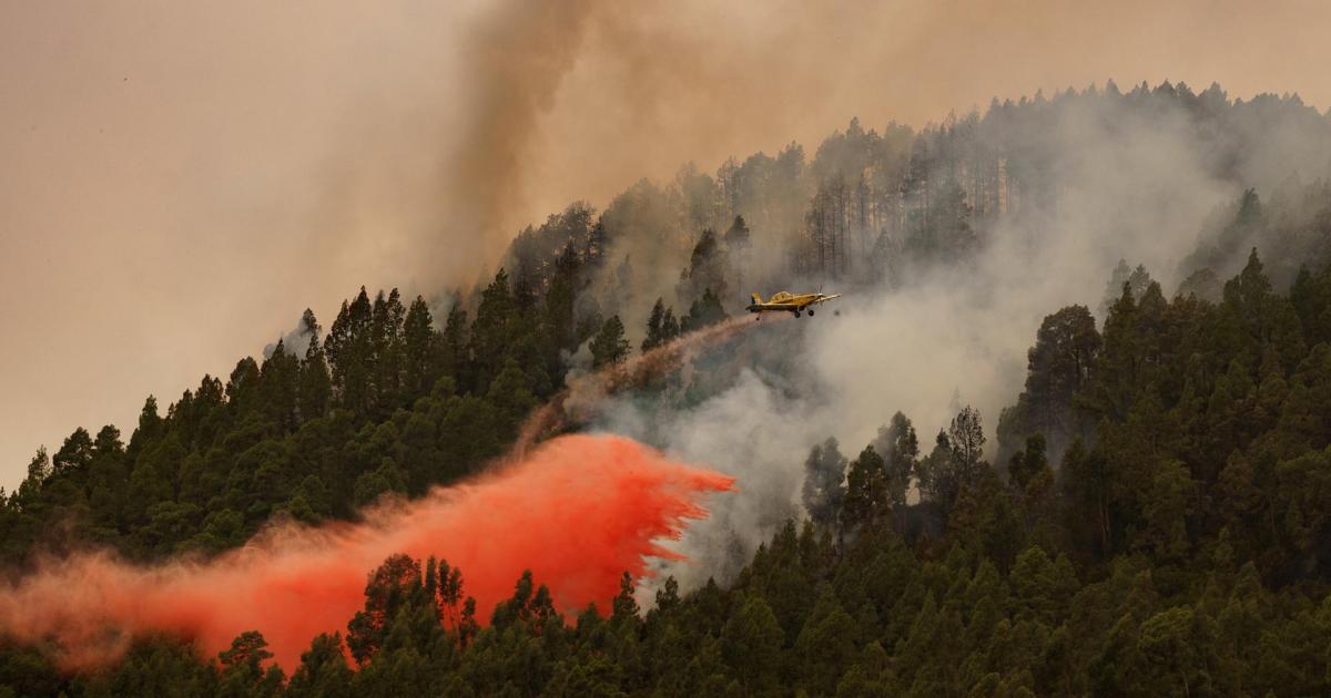 Un avión participa en las labores de extinción de incendio forestal en el municipio tinerfeño de El Rosario, muy cercano al núcleo poblacional de La Esperanza.