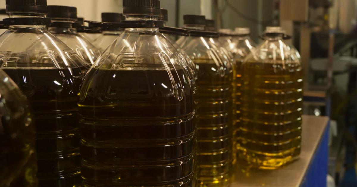 Garrafas de aceite de oliva en los almacenes de una productora en Andalucía.