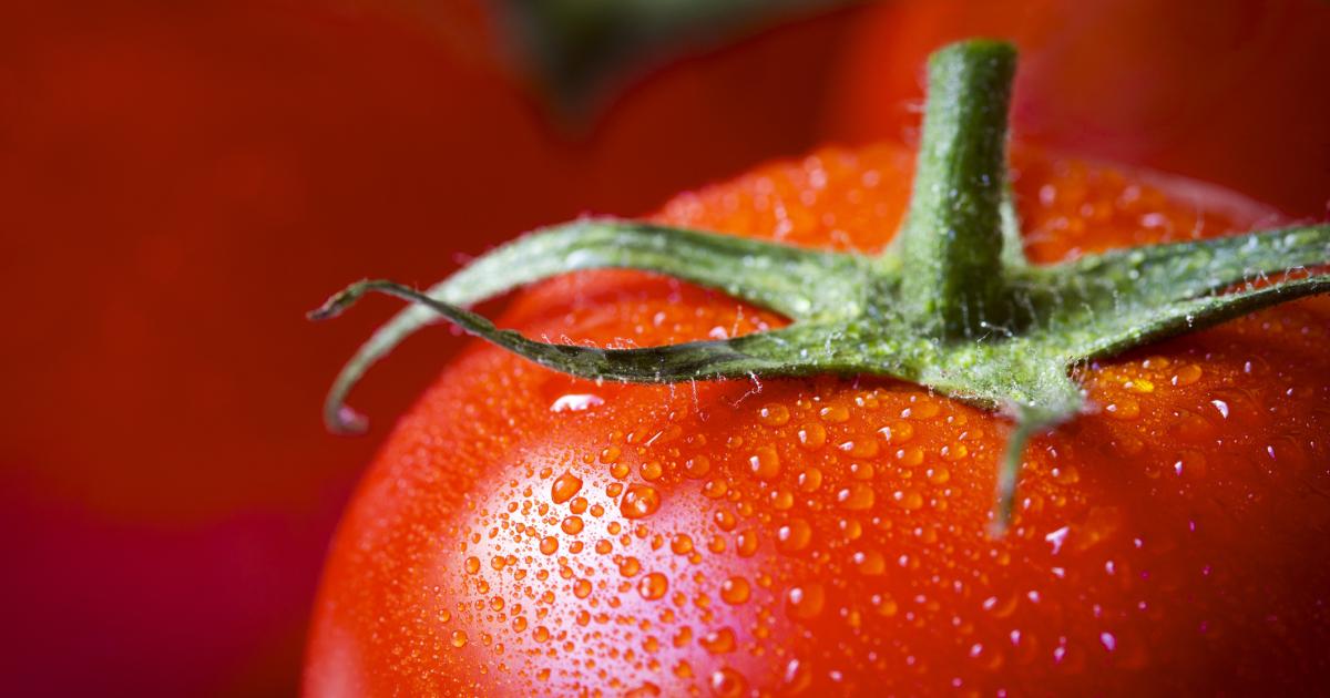 Imagen de archivo de un tomate.