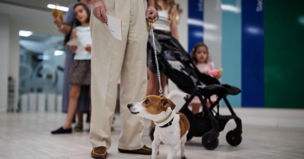 Un hombre hace cola, junto a su perro, en un colegio electoral en las elecciones del 23J.