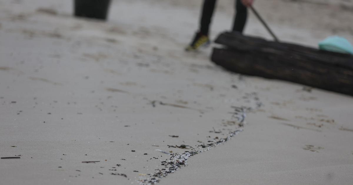 Operarios de empresas y vecinos de la zona retiran los pellets o bolitas para fabricar plástico que aparecen en las playas gallegas y de Asturias, tras la caída de un contenedor de un barco el pasado diciembre, en la playa de Area Maior en Muros.