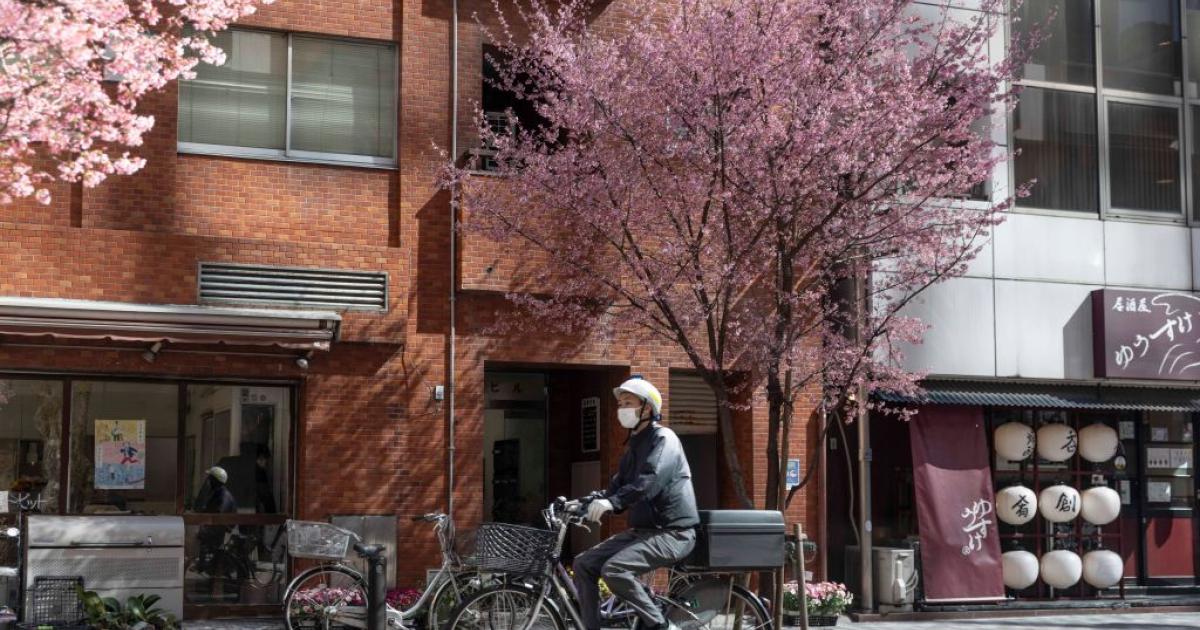 Imagen de archivo de un hombre en bicicleta en Japón el 13 de marzo de 2024.