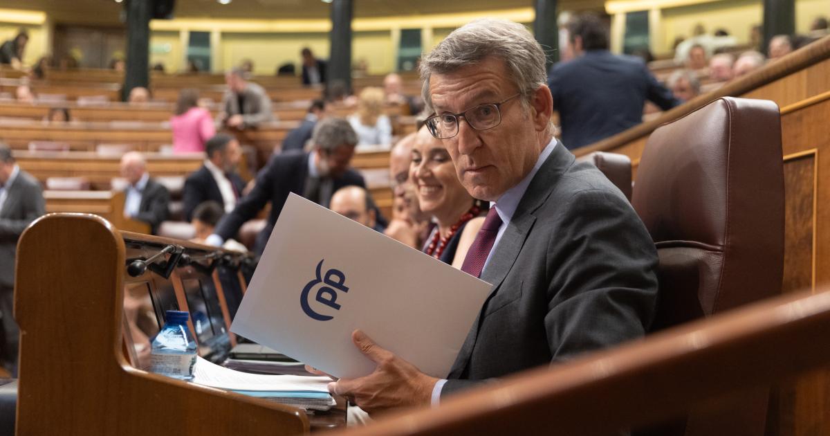 El presidente del PP, Alberto Núñez Feijóo.