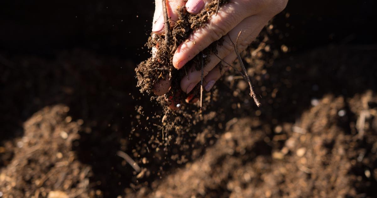 Logran desalar el agua subterránea para uso agrícola