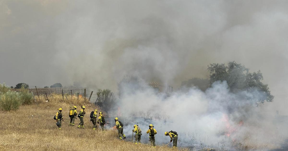 Brigadas Forestales, Agentes Forestales y Bomberos CM intentan controlar un incendio declarado este jueves, en Tres Cantos (Comunidad de Madrid).