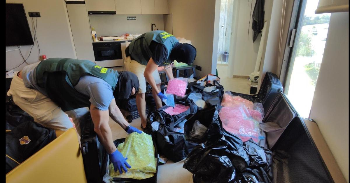 La Guardia Civil ha incautado en Ibiza más de 650 kilos de droga y ha detenido a nueve personas vinculadas con esta presunta trama, ocho en la isla y una en Málaga.