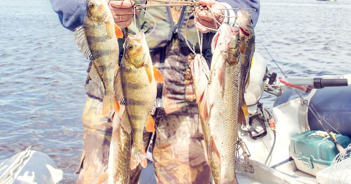 Un pescador aficionado muestra las capturas de una jornada de pesca.