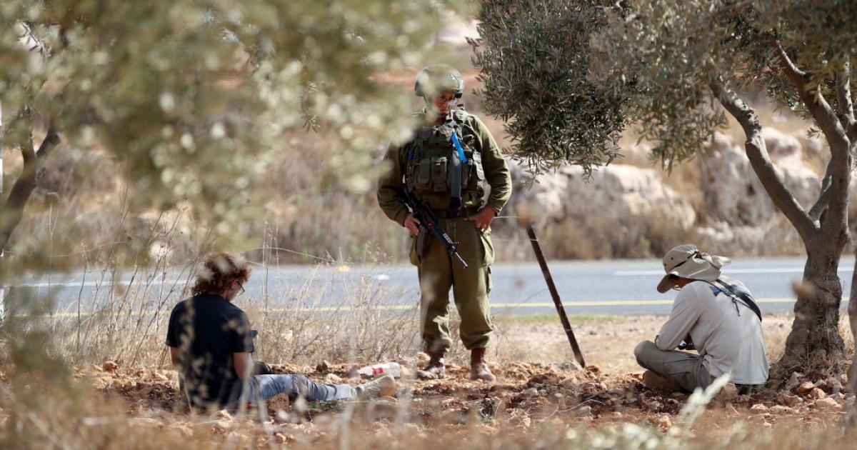 Un soldado israelí, en medio de la recolección de aceituna en Nablús (Cisjordania ocupada)