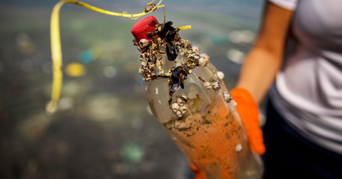 Una voluntaria recoge una botella de plástico en una playa de Manila durante una jornada de limpieza.