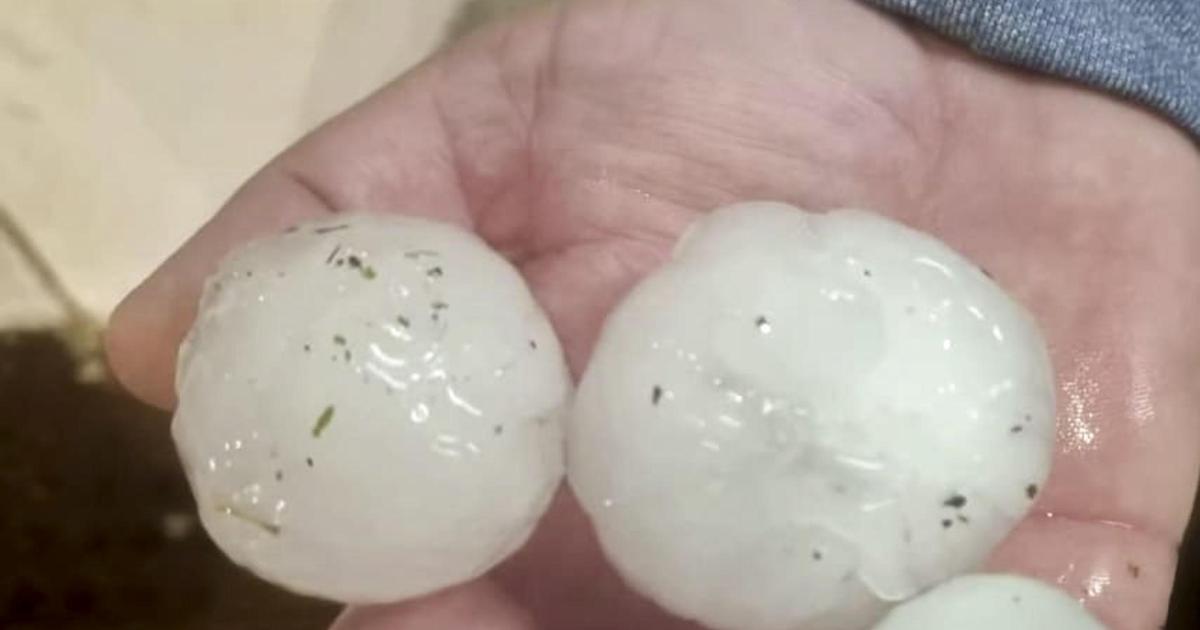 Fotografía cedida por COAG del granizo caído ayer en El Ejido. El granizo ha causado daños especialmente virulentos en una franja de ocho kilómetros ubicada en la parte de El Ejido (Almería) que linda con La Mojonera (Almería), afectando a unas 11.300 hectáreas de cultivo bajo plástico, según la secretaria provincial de UPA Almería, Francisca Iglesias.