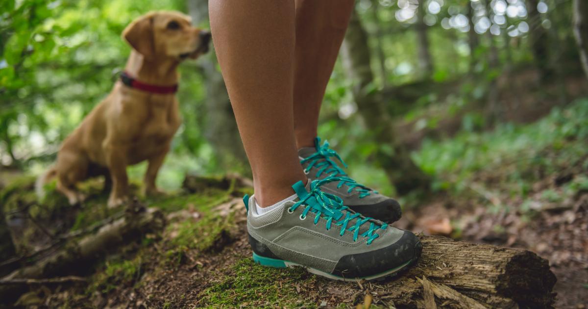 Imagen de archivo de una persona corriendo por el bosque con su perro.