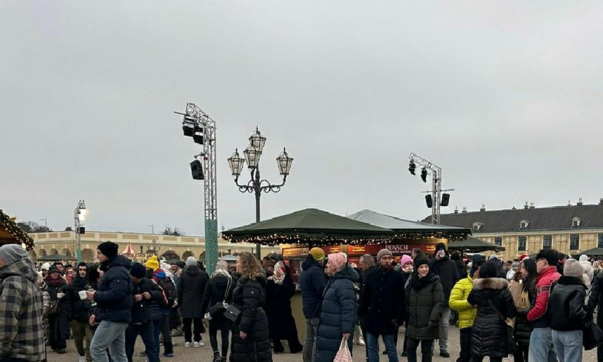 noticiaspuertosantacruz.com.ar - Imagen extraida de: https://www.huffingtonpost.es//virales/muestra-fotografia-mercadillo-navideno-viena-saca-clara-conclusion-dificil-ver-espana.html