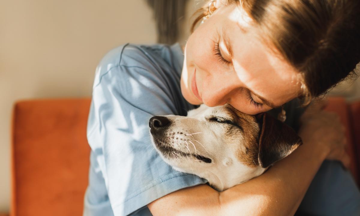 noticiaspuertosantacruz.com.ar - Imagen extraida de: https://www.huffingtonpost.es//life/animales/una-investigacion-revela-cuando-primer-vinculo-perros-humanos.html