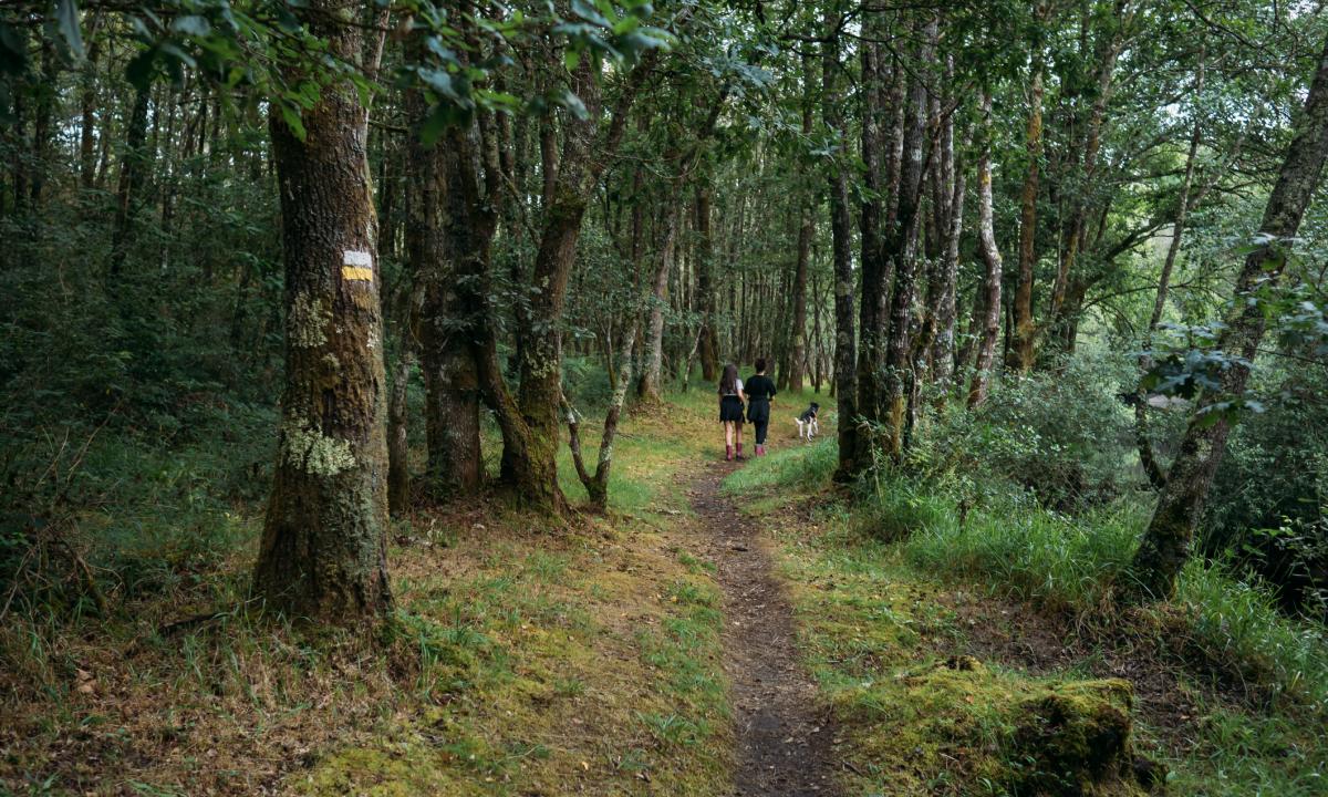 noticiaspuertosantacruz.com.ar - Imagen extraida de: https://www.huffingtonpost.es//sociedad/una-mujer-tropieza-bosque-montana-pan-abandonado-acuden-autoridades-detectan-amenaza.html