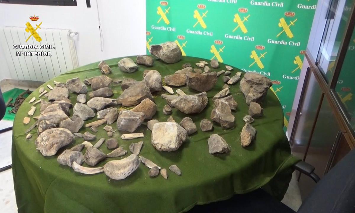 noticiaspuertosantacruz.com.ar - Imagen extraida de: https://www.huffingtonpost.es//sociedad/golpe-guardia-civil-recuperacion-100-restos-mamuts-expoliados-yacimiento-paleontologico-granadabr.html