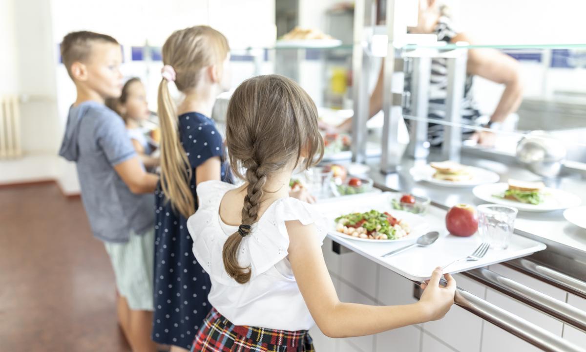 noticiaspuertosantacruz.com.ar - Imagen extraida de: https://www.huffingtonpost.es//sociedad/miles-pescaderias-aspiran-beneficiarse-incumplimiento-nadie-habla-colegios-menu-escolar.html