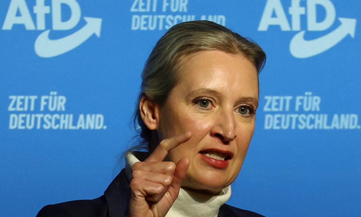 noticiaspuertosantacruz.com.ar - Imagen extraida de: https://www.huffingtonpost.es//global/alice-weidel-ultra-euroesceptica-posibilidades-entrar-gobierno-por-momentobr.html