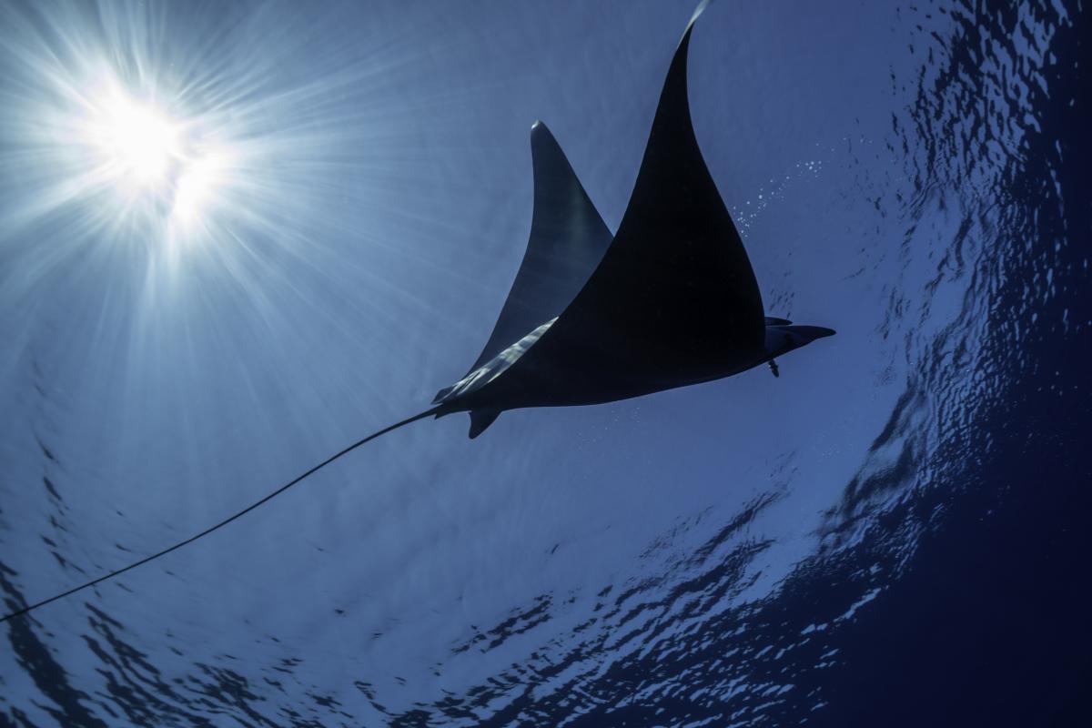 Amiichan onlyfans videos Amiichan Assista videos gratis