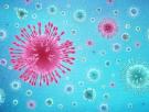 Cómo evitar ahogarnos en el mar de ‘infodemia’ que rodea al coronavirus