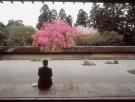 El beneficio de observar jardines japoneses para la demencia