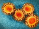 El virus de la Covid-19 ni se creó ni se escapó de un laboratorio