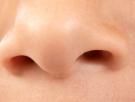 ¿Por qué la enfermedad Covid-19 nos hace perder el olfato y el gusto?