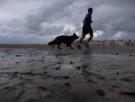 Ésta es la cantidad de agua que debe beber un perro al día