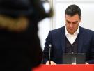 Pedro Sánchez reconoce al PSOE que se ha equivocado