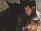 ‘Equus’ o domando el caballo salvaje que se lleva dentro