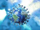 Virus: mucho más que simples patógenos