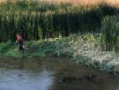 El Manzanares: ¿Es un río o un canal para remeros?