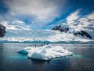 Proteger el océano Antártico en 2020, una oportunidad perdida