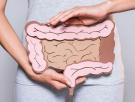 ¿Por qué se dice que el intestino es nuestro “segundo cerebro”?